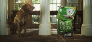 Purina Dog Chow